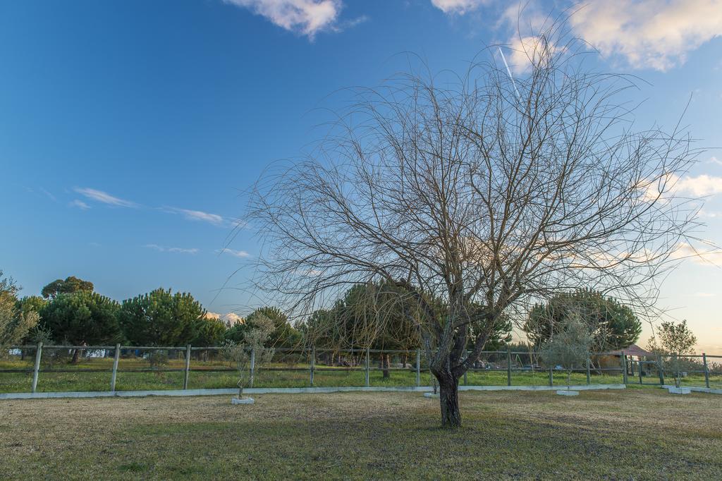 Monte Macario Alojamento Local Coruche Exteriér fotografie