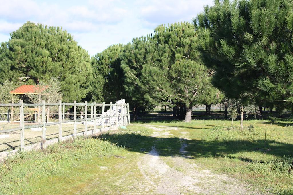 Monte Macario Alojamento Local Coruche Exteriér fotografie