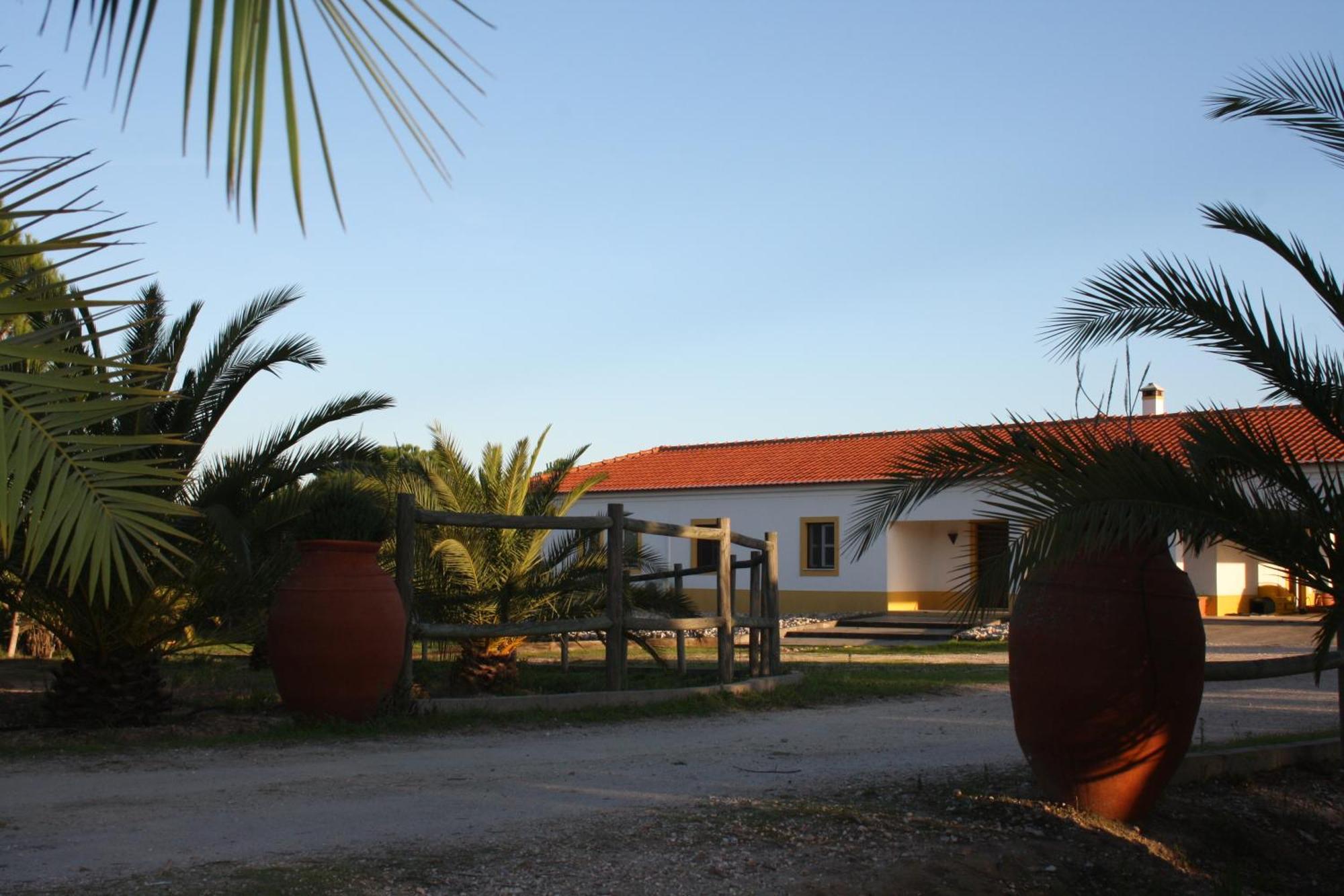 Monte Macario Alojamento Local Coruche Exteriér fotografie